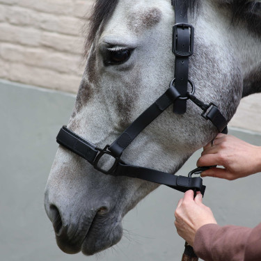 Halter Lami-Cell Flexicare Zwart