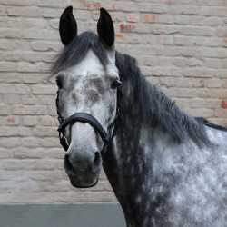 Halter Lami-Cell Flexicare Zwart