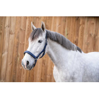 Halter Lami-Cell Flexicare Zwart