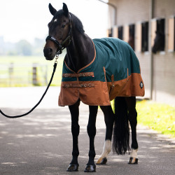 Buiten deken Imperial Riding Customized 400g met hals Donkergroen / vos
