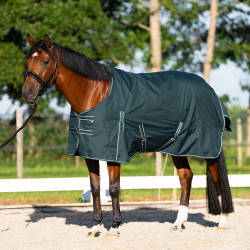 Imperial Riding paddockdeken Basic zonder halsdeken 300 g Groen