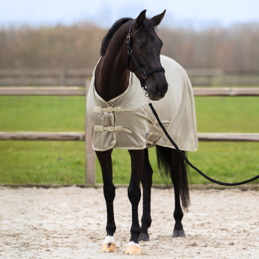 Vliegendeken met afneembare hals Imperial Riding Reese Licht olijfkleurig Groen