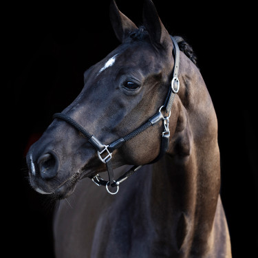Halster HV Polo Franka