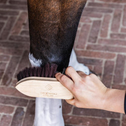 Korte harde houten klassieke borstel Grooming Deluxe by Kentucky Bruin