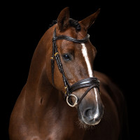 Engelse hoofdstel Imperial Riding gecombineerde Sleek Bruin