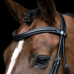 Engelse hoofdstel Imperial Riding gecombineerde Sleek Zwart