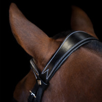 Hoofdstel Imperial Riding met gebogen Engels neusriem Zwart