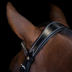 Hoofdstel Imperial Riding met gebogen Engels neusriem Zwart