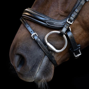 Hoofdstel Imperial Riding met gebogen Engels neusriem Zwart