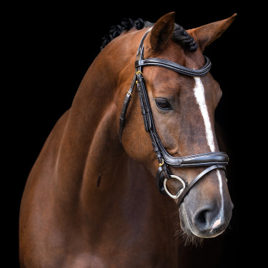 Hoofdstel Imperial Riding met gebogen Engels neusriem Bruin Hoofdstel Imperial Riding met gebogen Engels neusriem Bruin