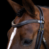Hoofdstel Imperial Riding met gebogen Engels neusriem Zwart
