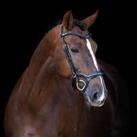 Hoofdstel Imperial Riding met lage ergonomische gecombineerde neusriem Zwart