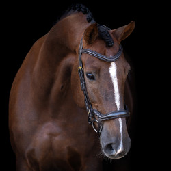 Hoofdstel Imperial Riding met lage ergonomische gecombineerde neusriem Bruin