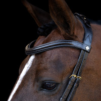 Hoofdstel Imperial Riding met lage ergonomische gecombineerde neusriem Zwart