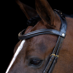 Hoofdstel Imperial Riding met lage ergonomische gecombineerde neusriem Bruin