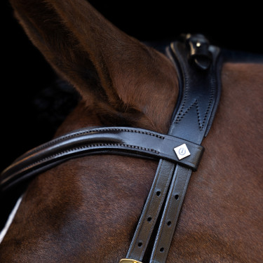 Hoofdstel Imperial Riding met lage ergonomische gecombineerde neusriem Bruin