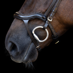 Hoofdstel Imperial Riding met lage ergonomische gecombineerde neusriem Bruin