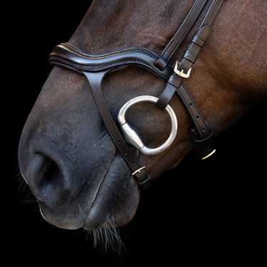 Hoofdstel Imperial Riding met lage ergonomische gecombineerde neusriem Bruin