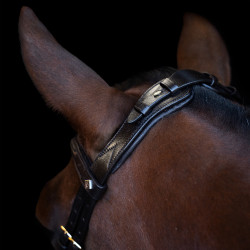 Hoofdstel Imperial Riding met lage ergonomische gecombineerde neusriem Bruin