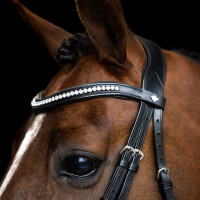 Eenvoudig gecombineerde Imperial Riding hoofdstel Bruin