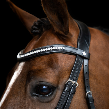 Eenvoudig gecombineerde Imperial Riding hoofdstel Zwart