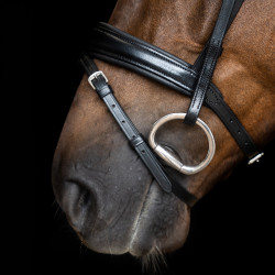Eenvoudig gecombineerde Imperial Riding hoofdstel Zwart
