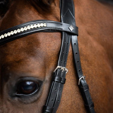 Eenvoudig gecombineerde Imperial Riding hoofdstel Zwart