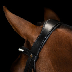 Eenvoudig gecombineerde Imperial Riding hoofdstel Zwart