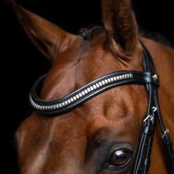 Hoofdstel met Mexicaanse neusriem Imperial Riding Zwart