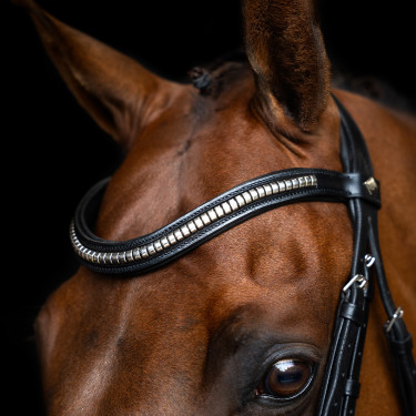 Hoofdstel met Mexicaanse neusriem Imperial Riding Zwart
