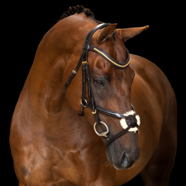 Hoofdstel met Mexicaanse neusriem Imperial Riding Donkerbruin Hoofdstel met Mexicaanse neusriem Imperial Riding Donkerbruin