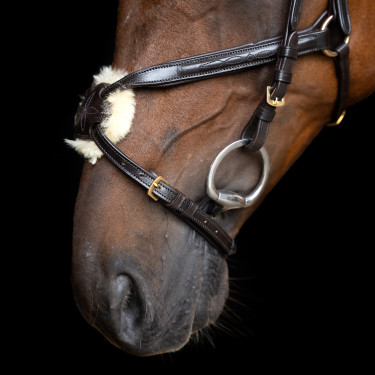 Hoofdstel met Mexicaanse neusriem Imperial Riding Donkerbruin Hoofdstel met Mexicaanse neusriem Imperial Riding Donkerbruin