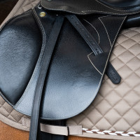 Imperial Riding Soft stijgbeugelriemen met nylon kern Zwart