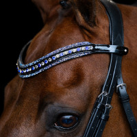 Frontal Imperial Riding Maxima Saffier Blauw