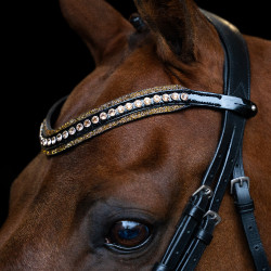 Frontal Imperial Riding Maxima Bruin