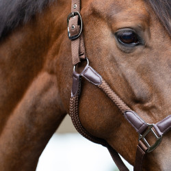 Halster Imperial Riding Laura Chocolade Bruin Halster Imperial Riding Laura Chocolade Bruin