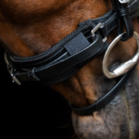 Neusriembeschermer Imperial Riding Mesh Zwart