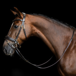 Imperial Riding teugels van rubber met nopjes Donkerbruin