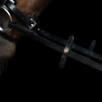 Imperial Riding teugels van glad leer Zwart