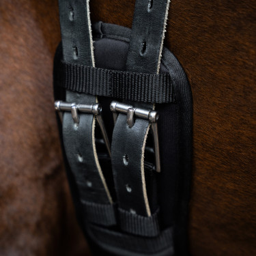 Dressuursingel Imperial Riding met traagschuim Zwart