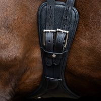 Anatomische dressuursingel Imperial Riding met rolgespen Zwart