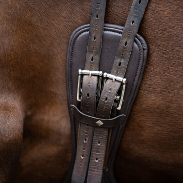 Anatomische dressuursingel Imperial Riding met rolgespen Donkerbruin