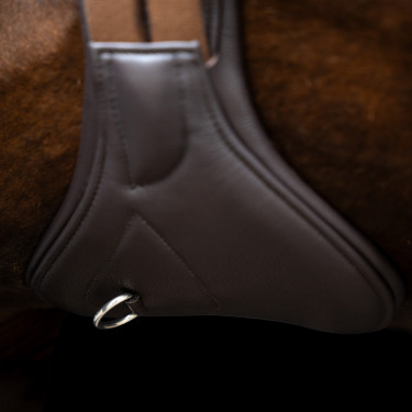 Anatomische dressuursingel Imperial Riding met rolgespen Donkerbruin