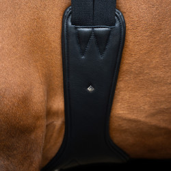Imperial Riding anatomische springsingel met rolgespen Zwart