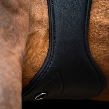 Imperial Riding anatomische springsingel met rolgespen Zwart