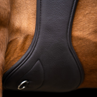 Imperial Riding anatomische springsingel met rolgespen Donkerbruin Imperial Riding anatomische springsingel met rolgespen Donkerbruin