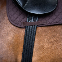Spring-singel Imperial Riding Basic Zwart