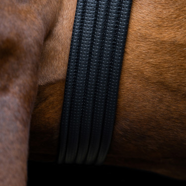 Spring-singel Imperial Riding Basic Zwart