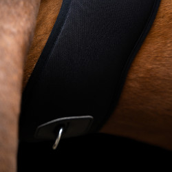 Imperial Riding Basic anatomische spring-singel van neopreen Zwart