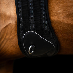 Imperial Riding Basic anatomische en ademende springsingel Zwart